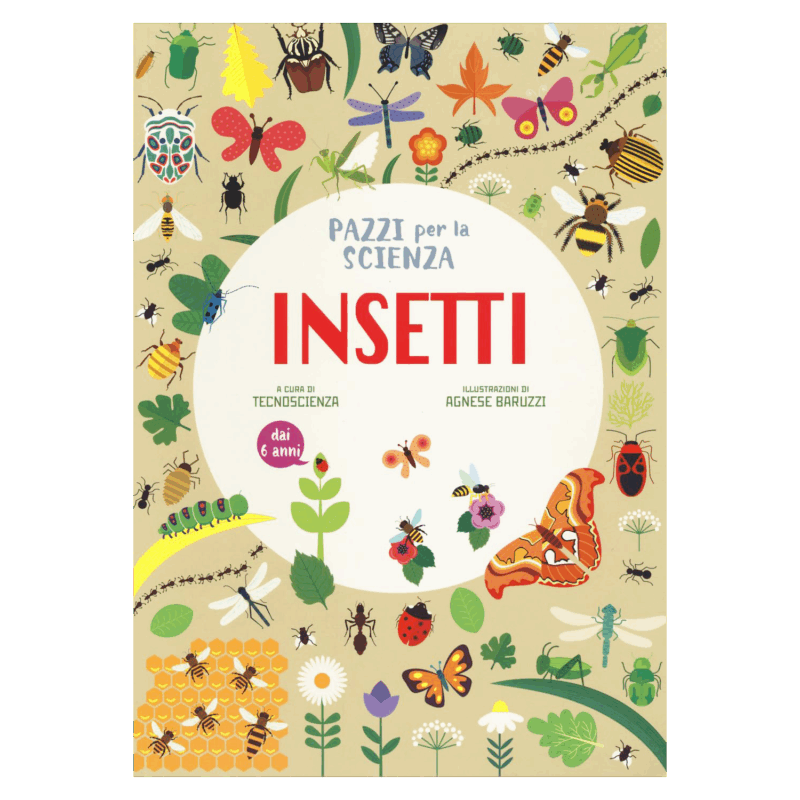 Insetti