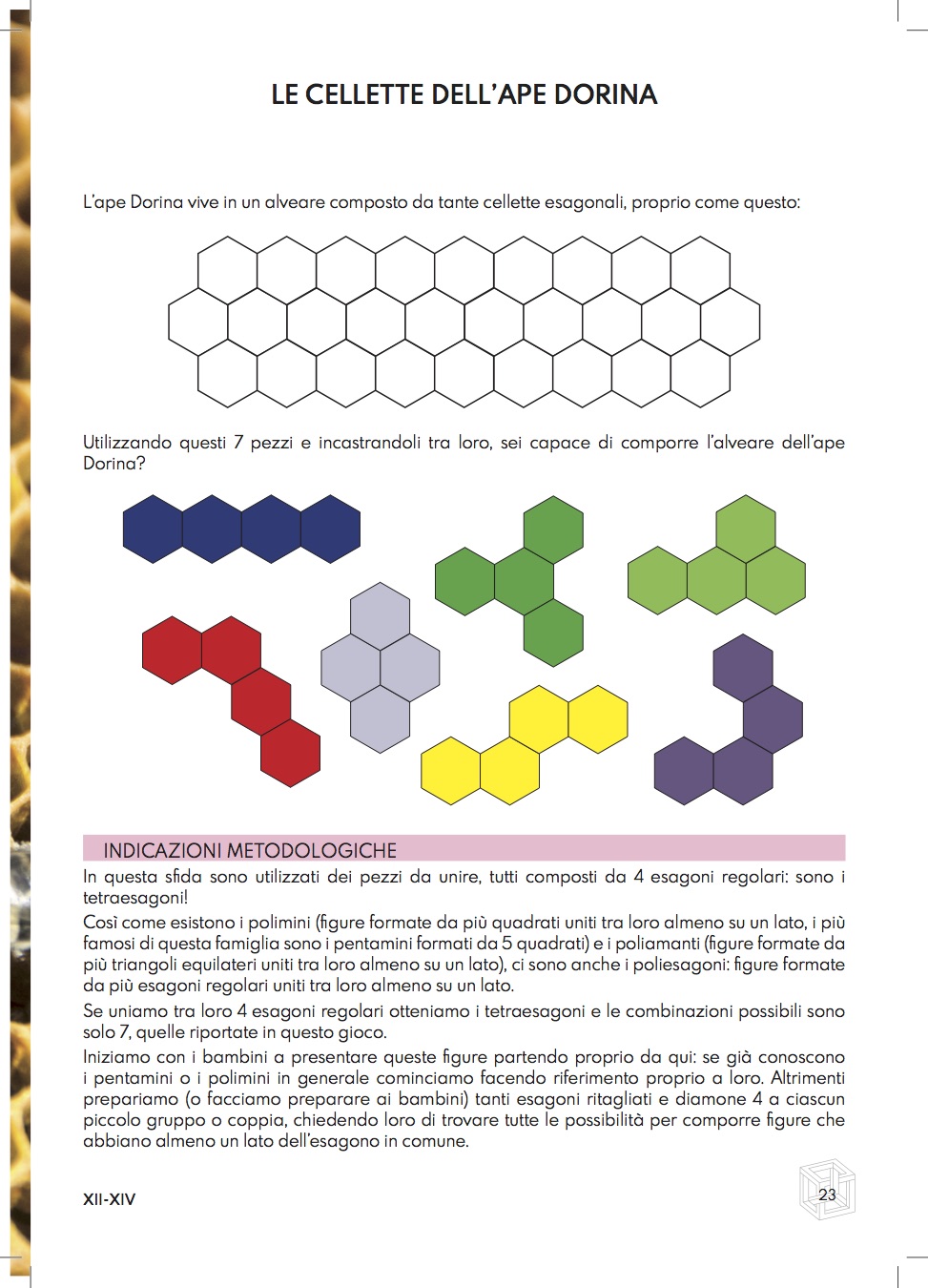 PACK 1+1: Guida didattica DODICI-24 + UN MATECALENDARIO 2024 - immagine 2