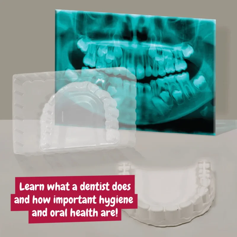 Kit del dentista - immagine 6