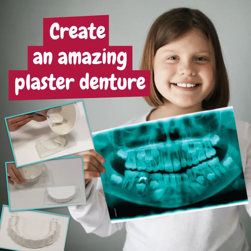 Kit del dentista - immagine 4