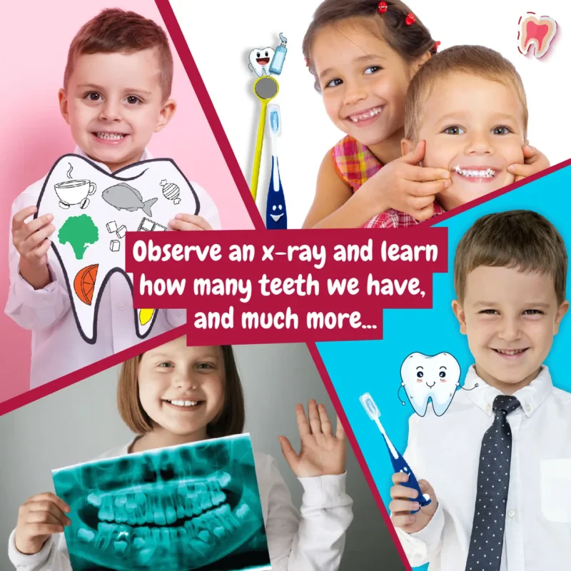 Kit del dentista - immagine 3